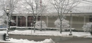 snowy park