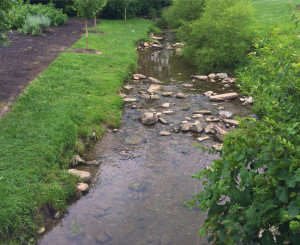creek1