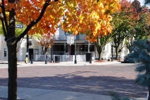planks and fall leaves