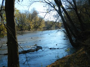 Scioto Grove Scioto River
