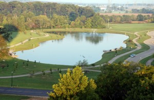 Get Fit in Fryer Park